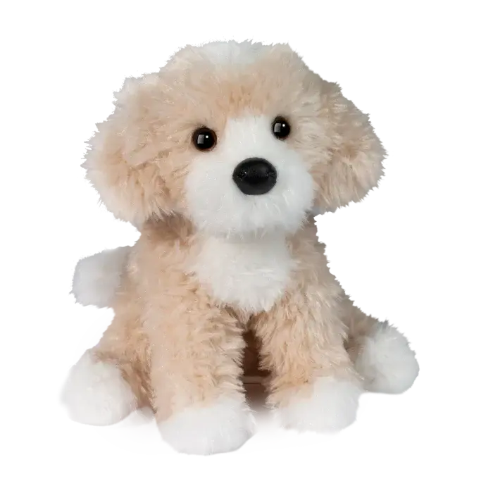 Darcy Golden Doodle