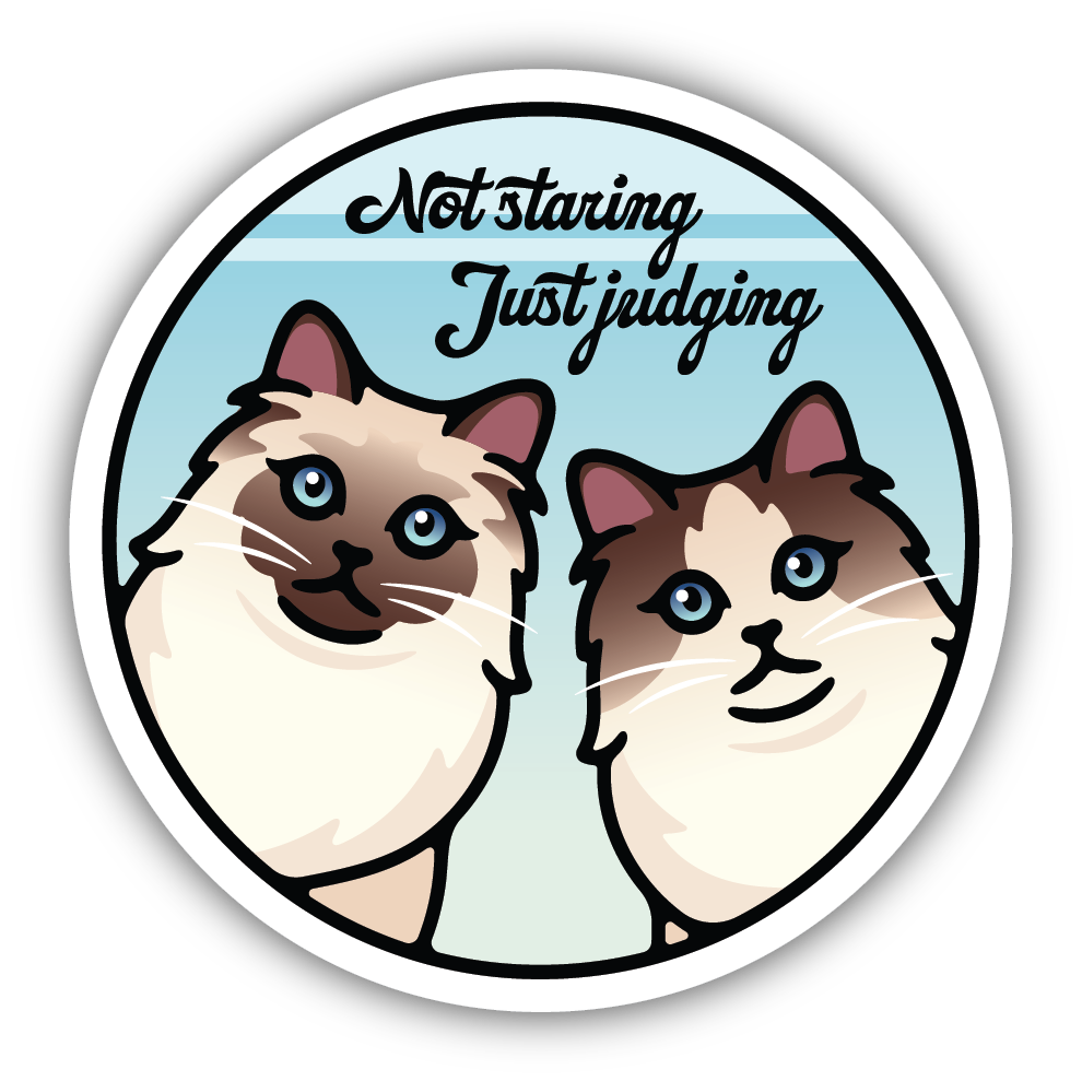 Not Staring Just Judging - Cat Sticker