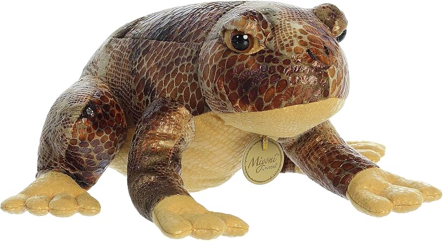 11" American Bullfrog