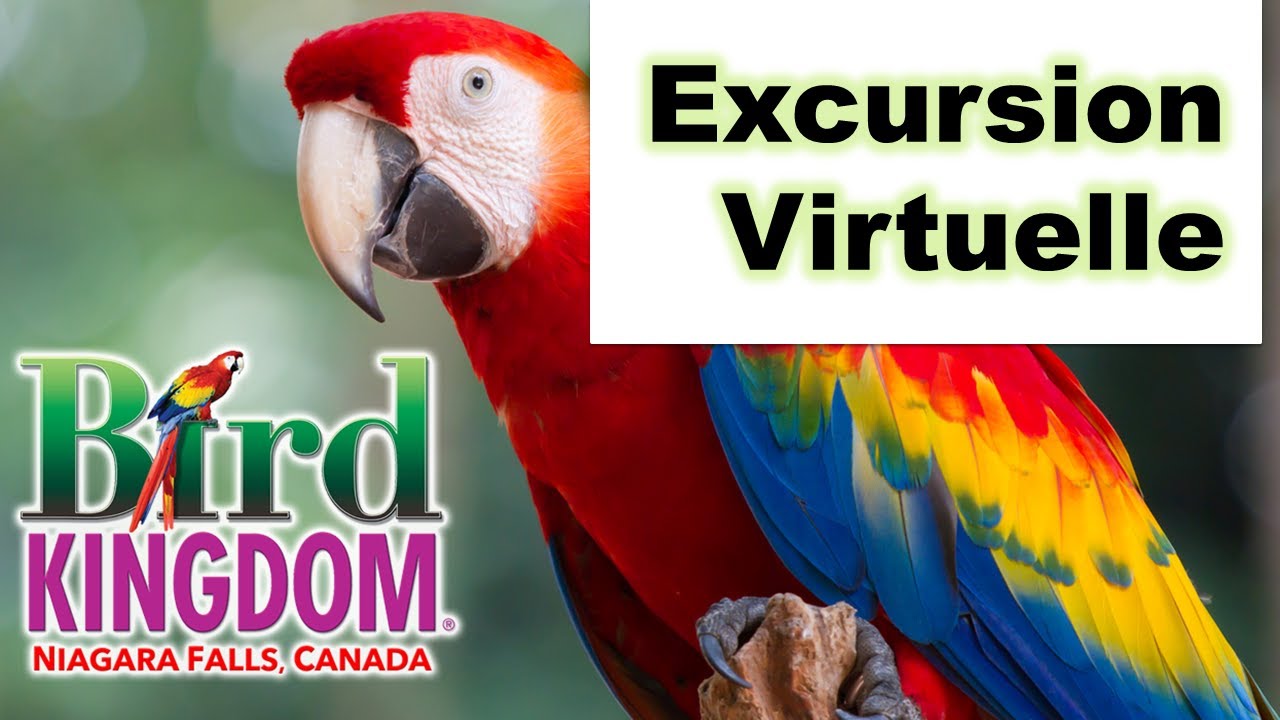 Excursion Virtuelle Préenregistrée en Français