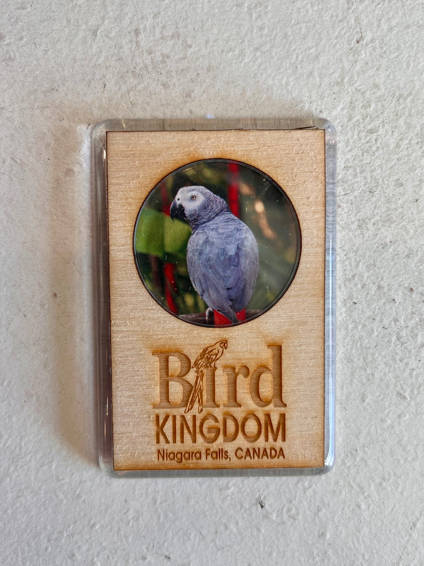 Wood & Plastic African Grey Bird Kingdom Magnet