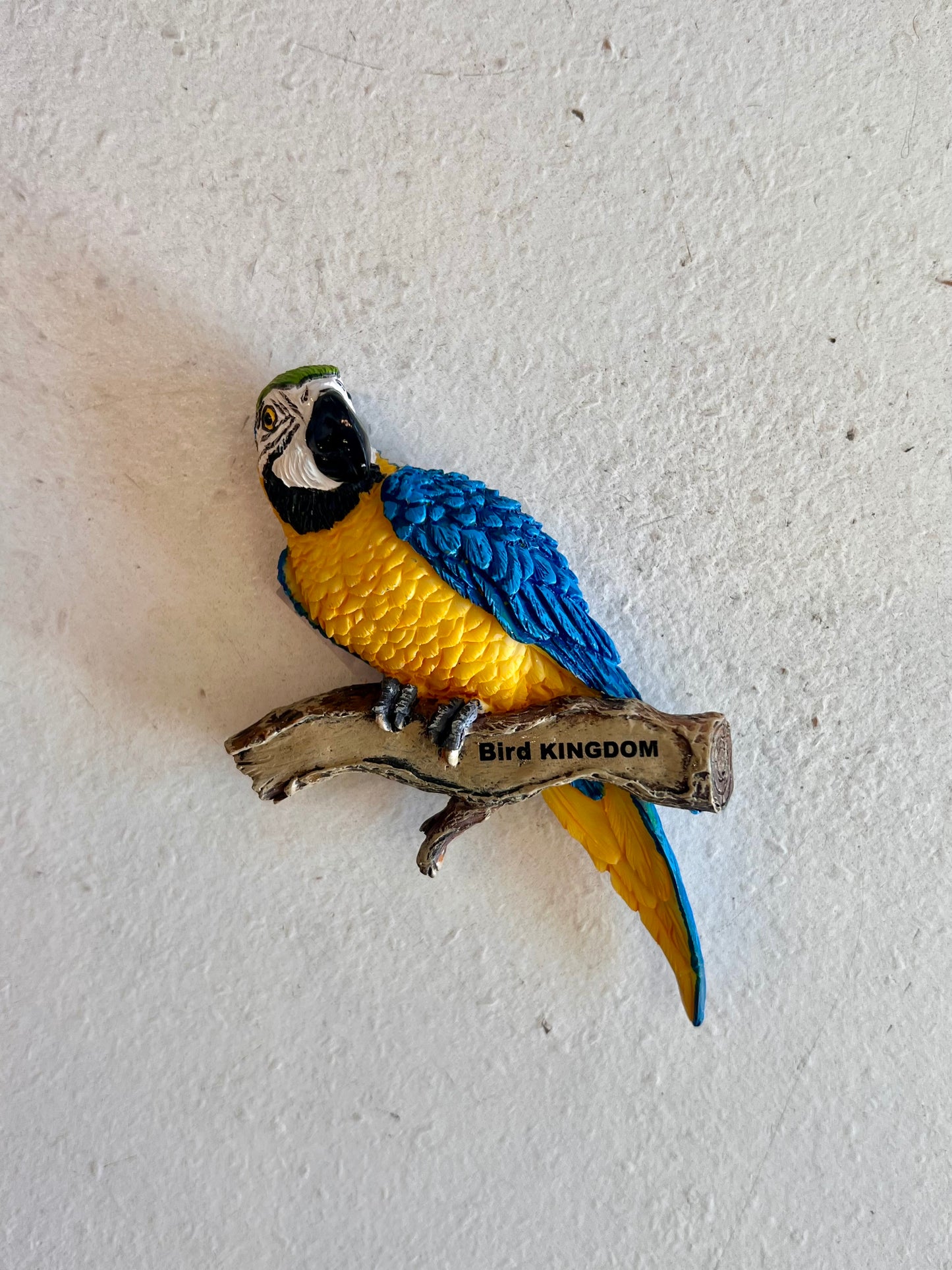 Ceramic Blue and Gold Macaw Bird Kingdom Magnet