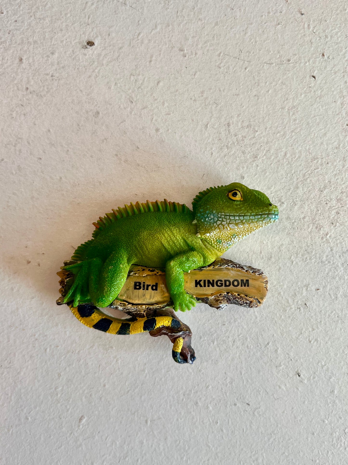 Ceramic Iguana Bird Kingdom Magnet