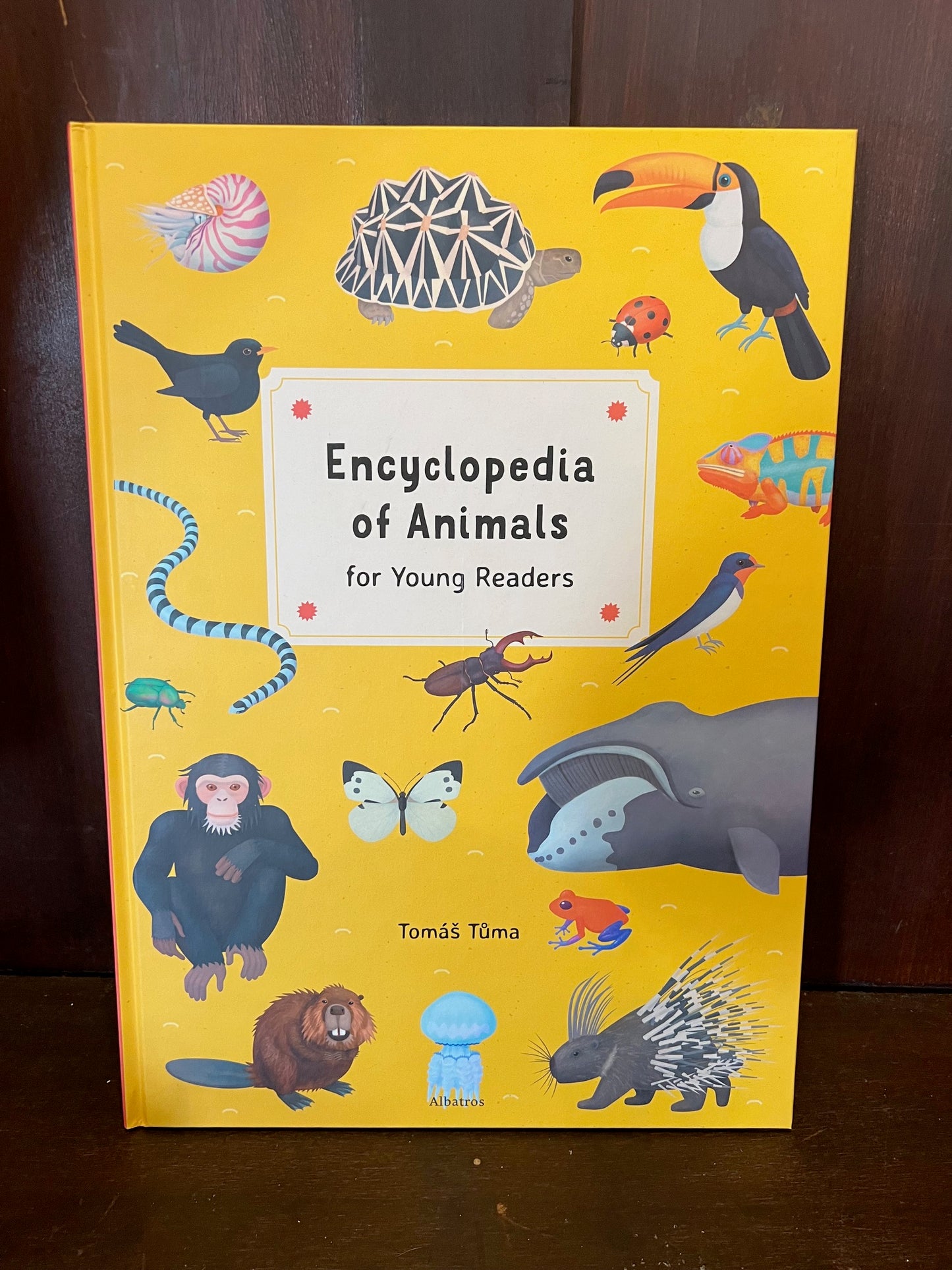 Encyclopedia of Animals Book