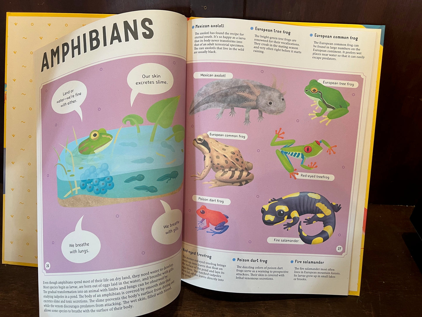 Encyclopedia of Animals Book