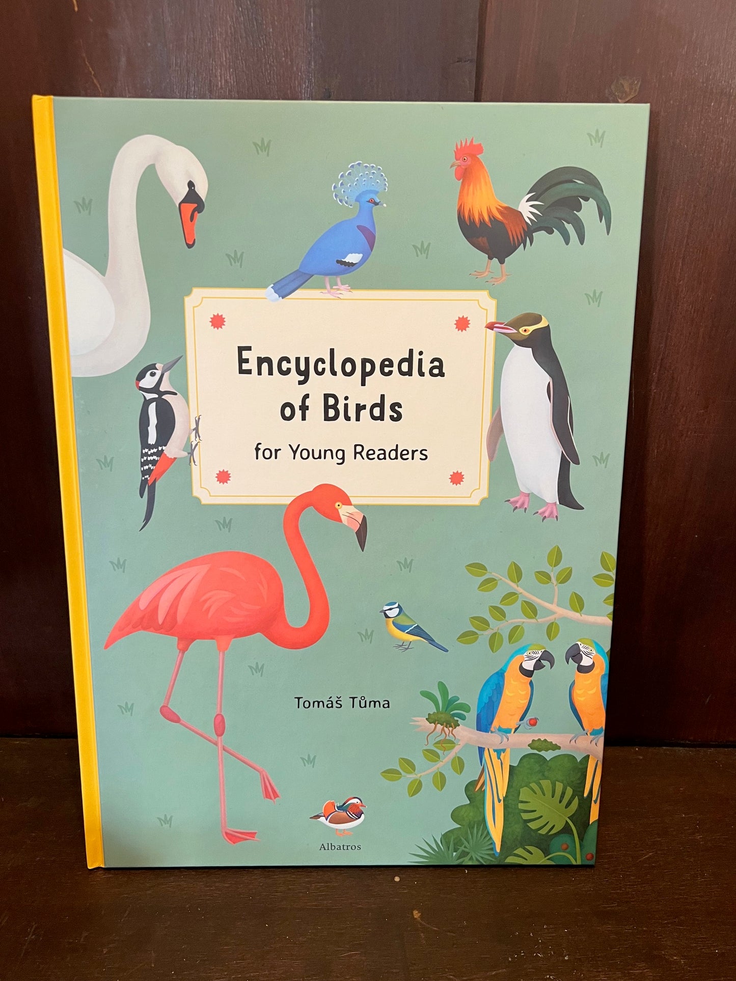 Encyclopedia of Birds Book