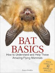 Bat Basics