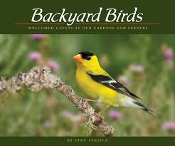 Backyard Birds: Welcomed Guests at our Garden and Feeders
