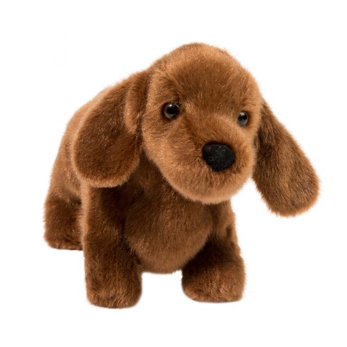 Dachshund - Dilly