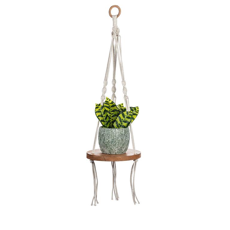 Macrame Planter Holder with Base