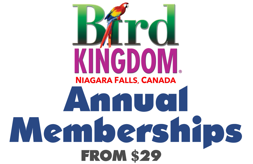 Bird Kingdom Membership Bird Kingdom Giftstore