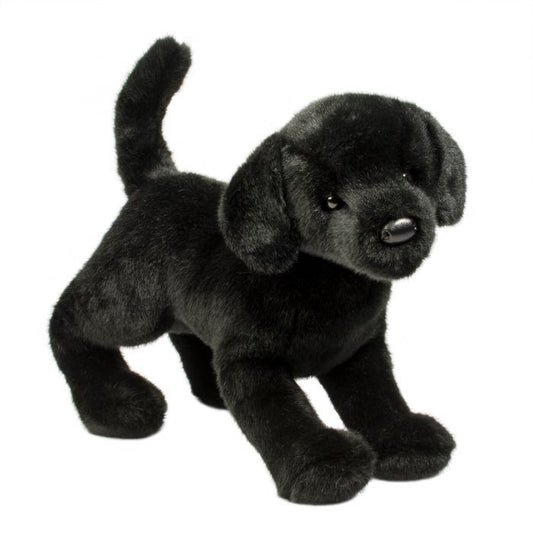Black Lab