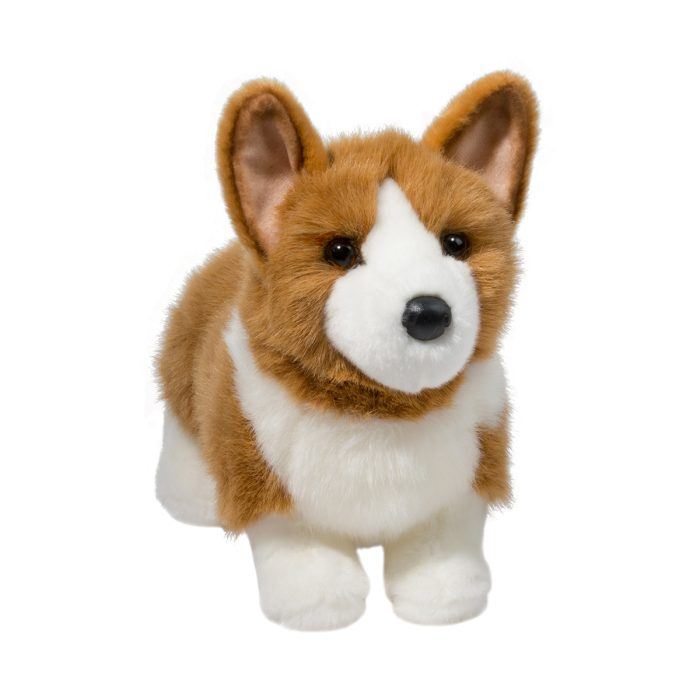 Corgi