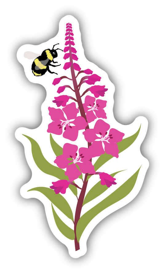 Fireweed Sticker