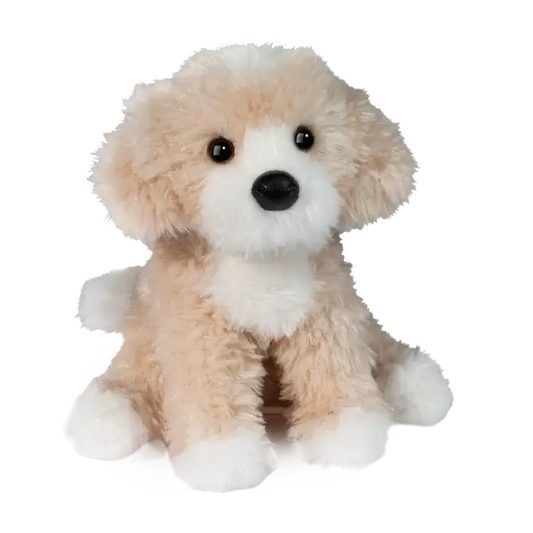 Darcy Golden Doodle