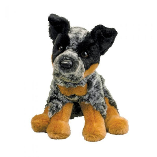 Australian Cattle Dog