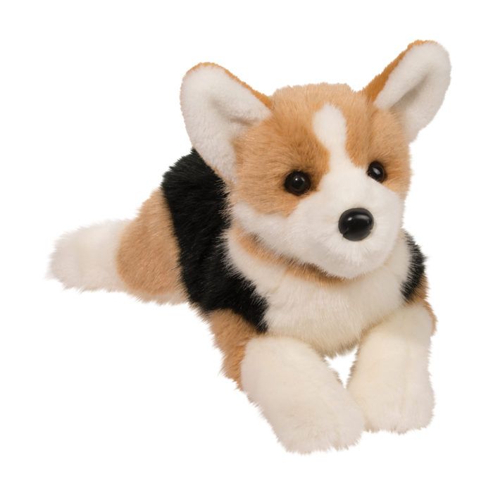 Tri-Color Corgi