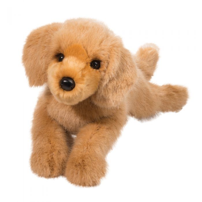 Oakley Dlux Golden Retriever