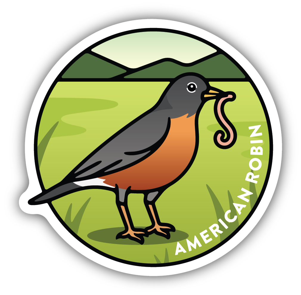 American Robin Sticker