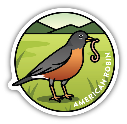 American Robin Sticker