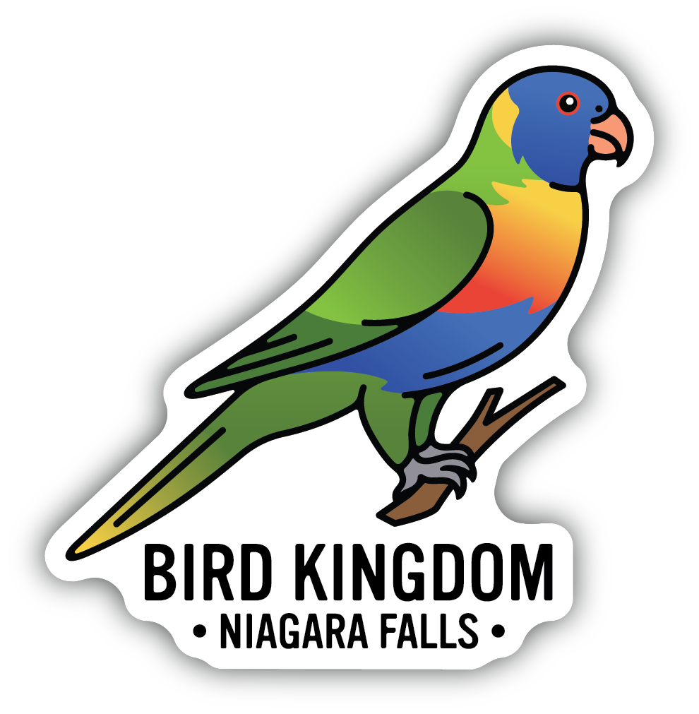Rainbow Lorikeet Bird Kingdom Sticker