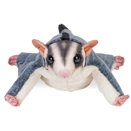 Sugar Glider - 13"