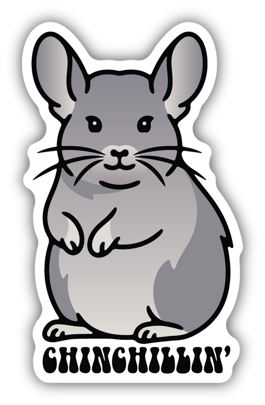 Chinchillin' Sticker