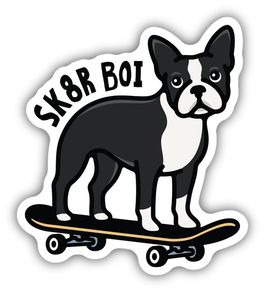 Sk8r Boi Boston On Skateboard Sticker