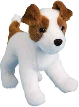 Fiona Jack Russell Terrier