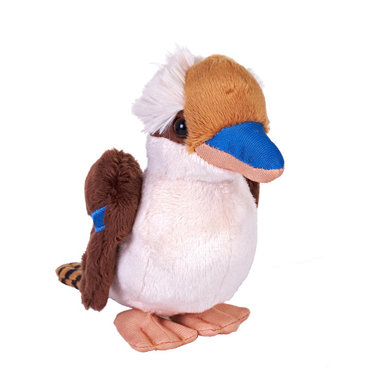 5" Kookaburra
