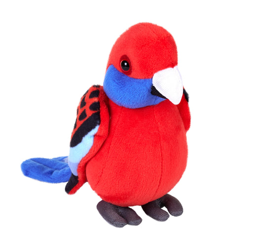 5" Crimson Rosella