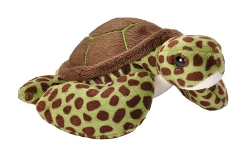 5" Green Sea Turtle