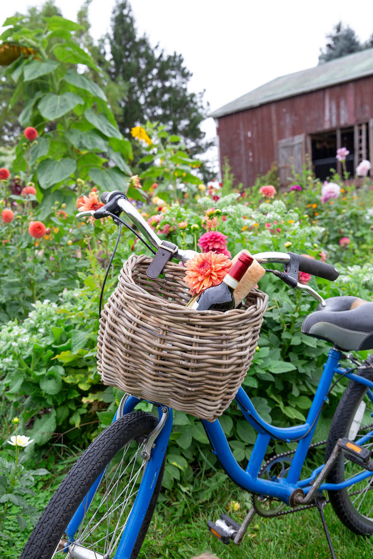Bicycle Basket
