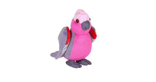 5" Galah