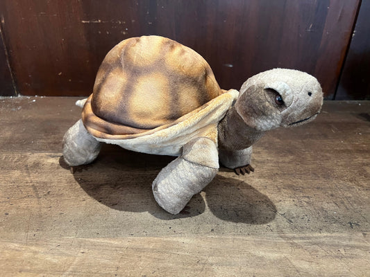 Desert Tortoise-12"