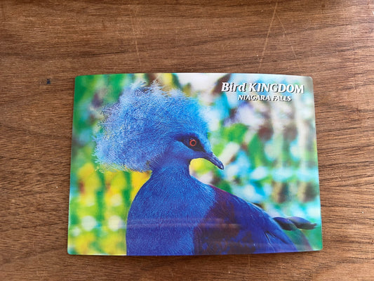 Blue-Crowned Pigeon Post Card