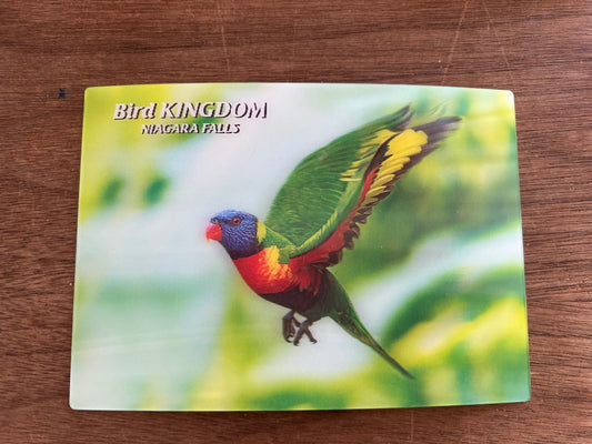 Lorikeet Post Card