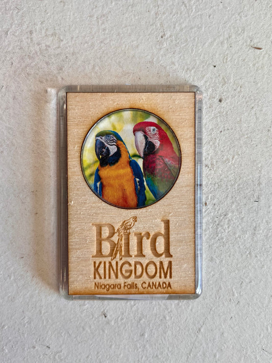 Wood & Plastic Macaw Bird Kingdom Magnet