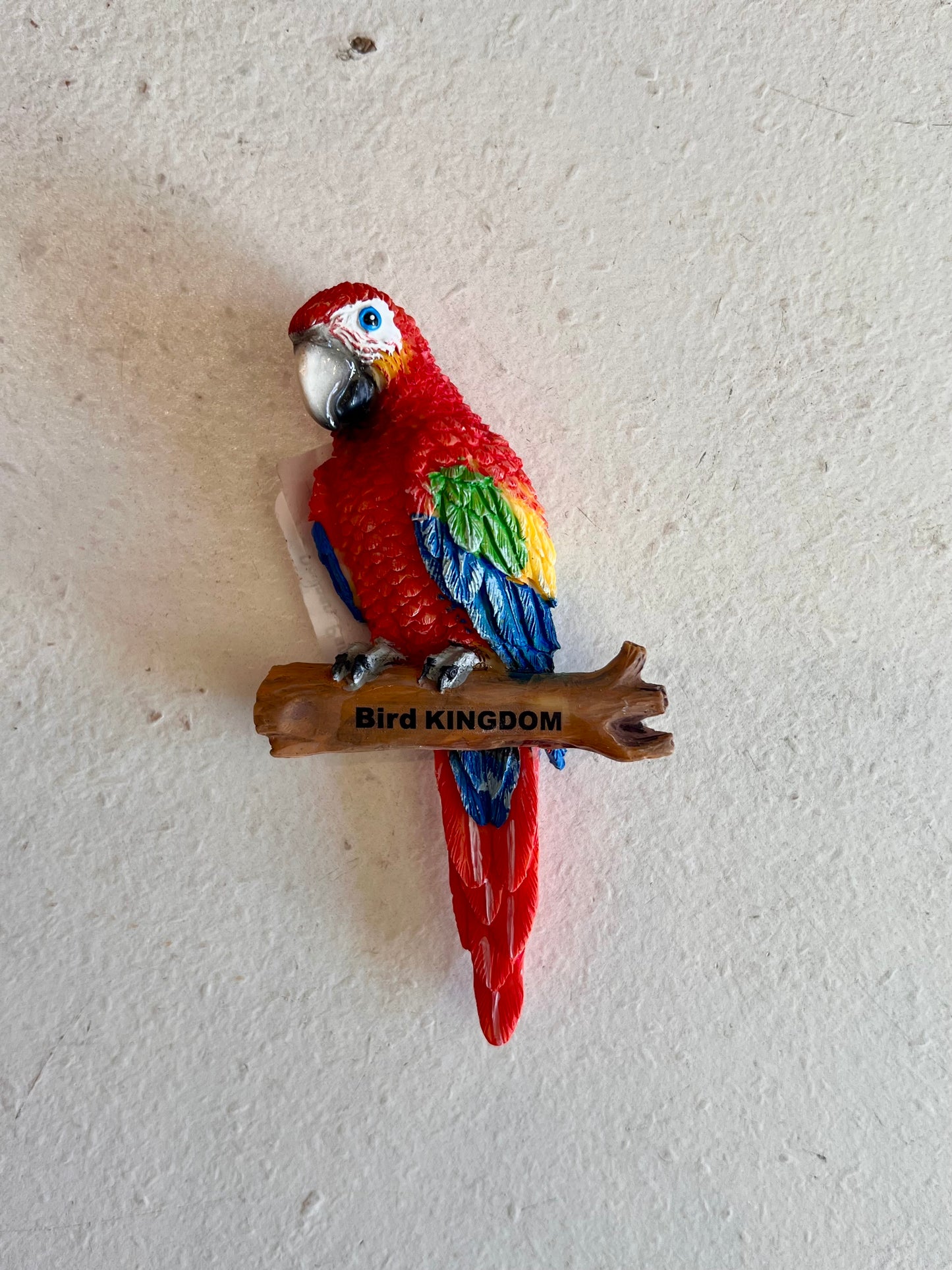 Ceramic Scarlet Macaw #2 Bird Kingdom Magnet