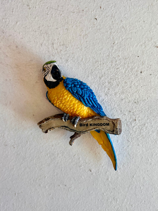 Ceramic Blue and Gold Macaw Bird Kingdom Magnet