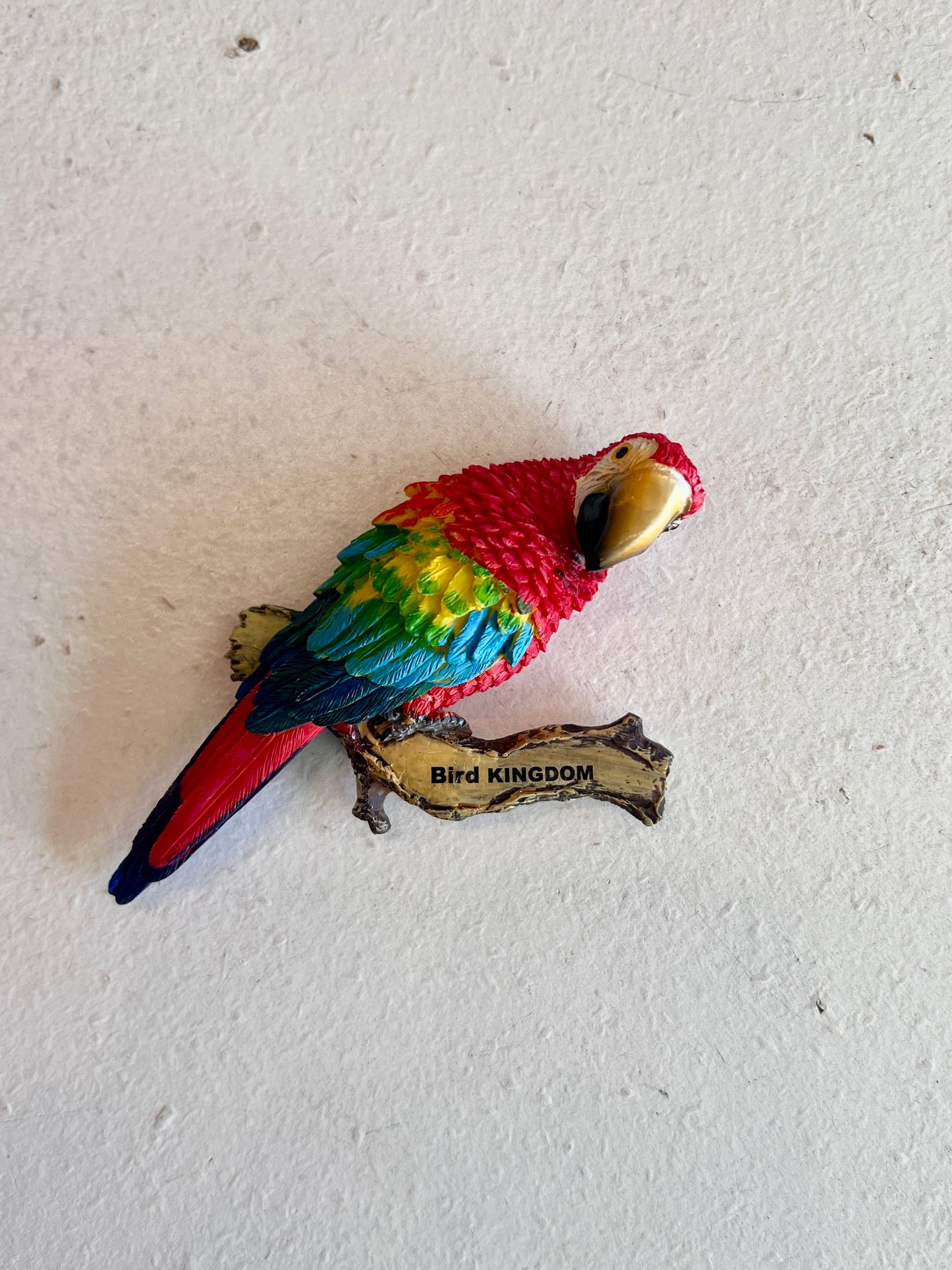 Ceramic Scarlet Macaw Bird Kingdom Magnet