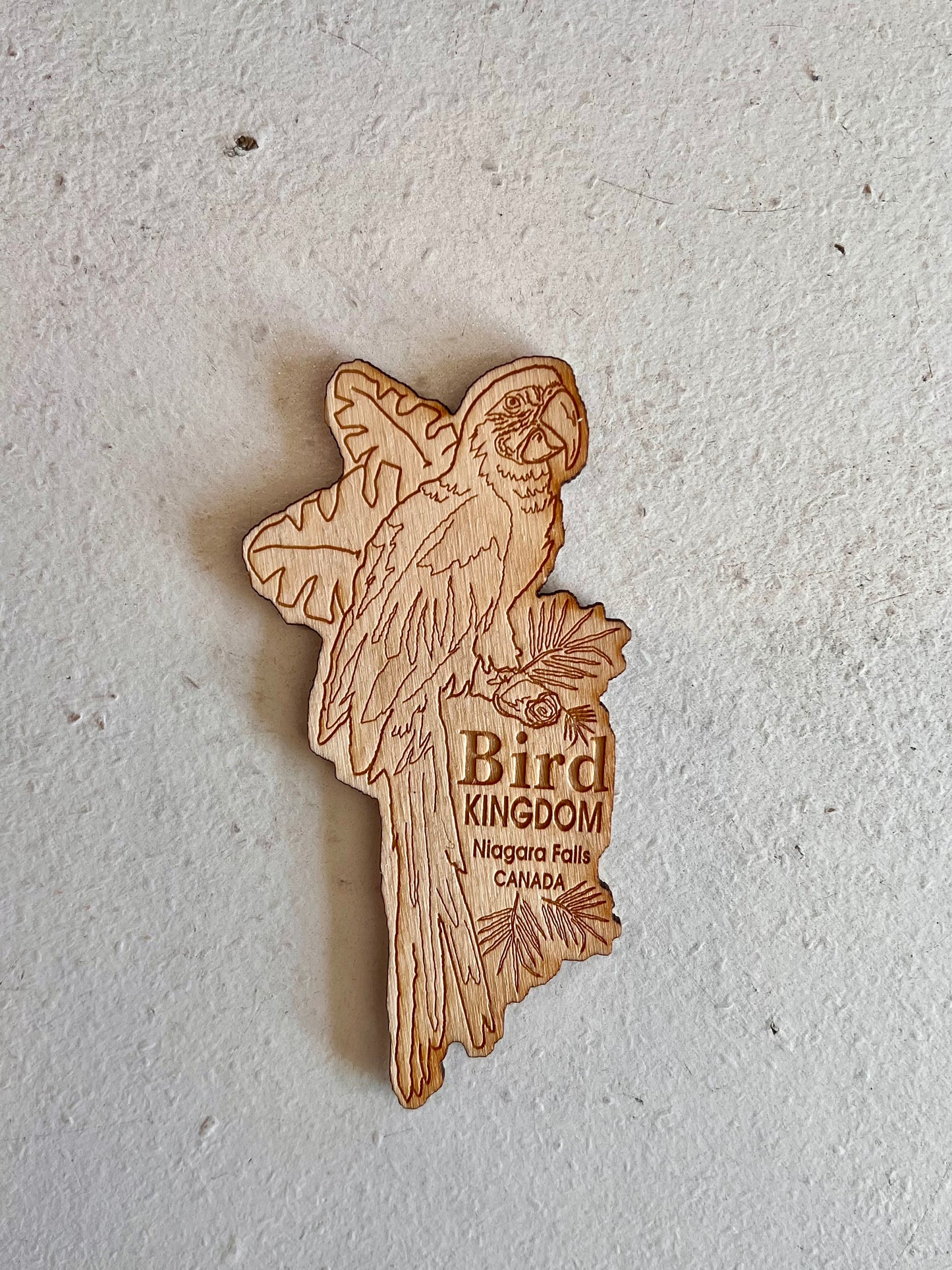 Wooden Macaw Bird Kingdom Magent