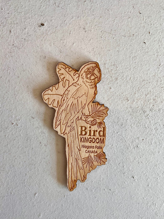 Wooden Macaw Bird Kingdom Magent