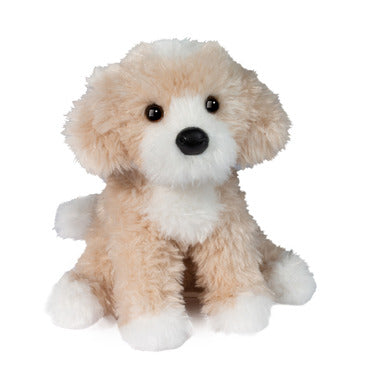 Darcy Golden Doodle