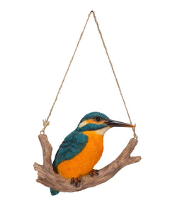 Hanging Kingfisher on a Branch