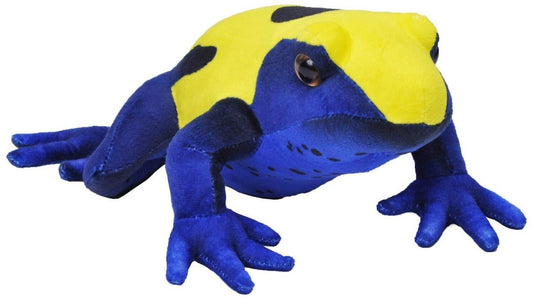 12" Citronella Dart Frog