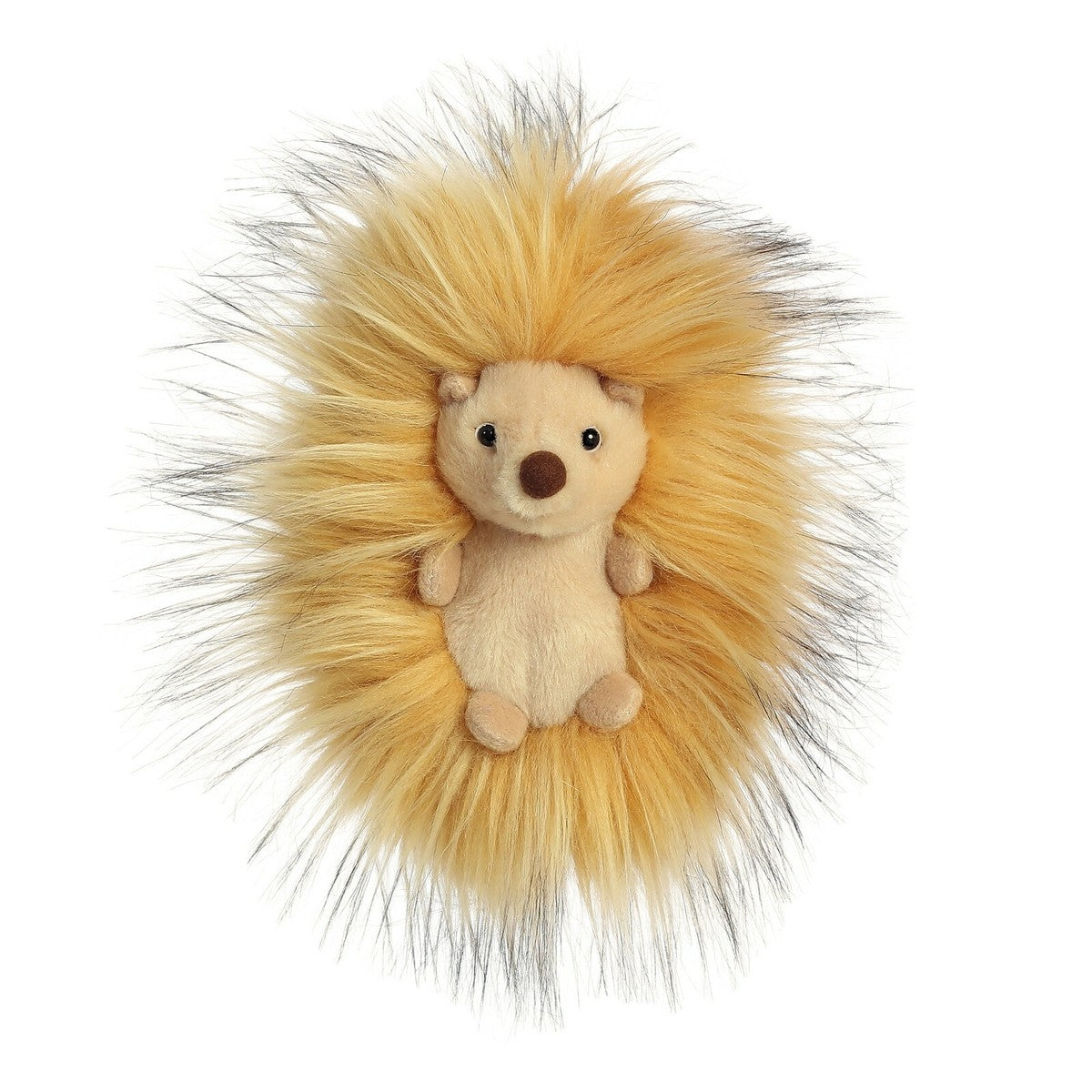 6" Hedgehog