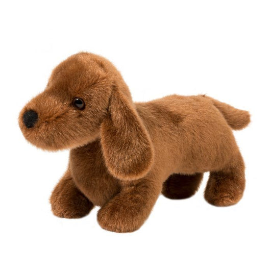 Dachshund - Dilly