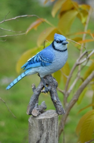 Blue Jay On Branch Statue