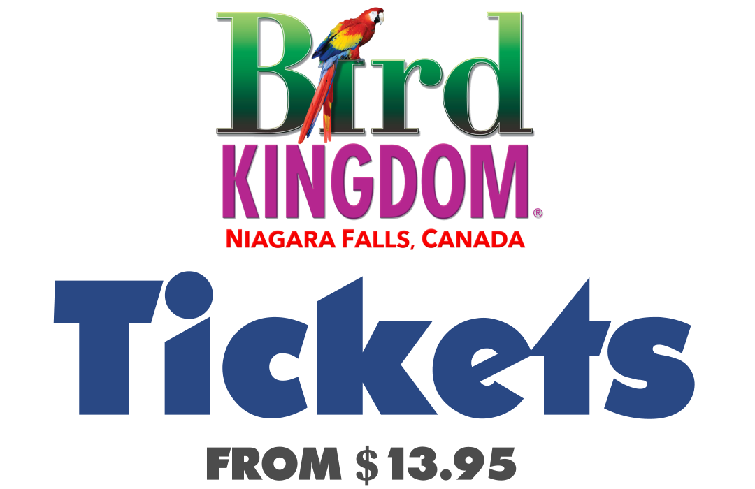 Bird Kingdom Admission Bird Kingdom Giftstore